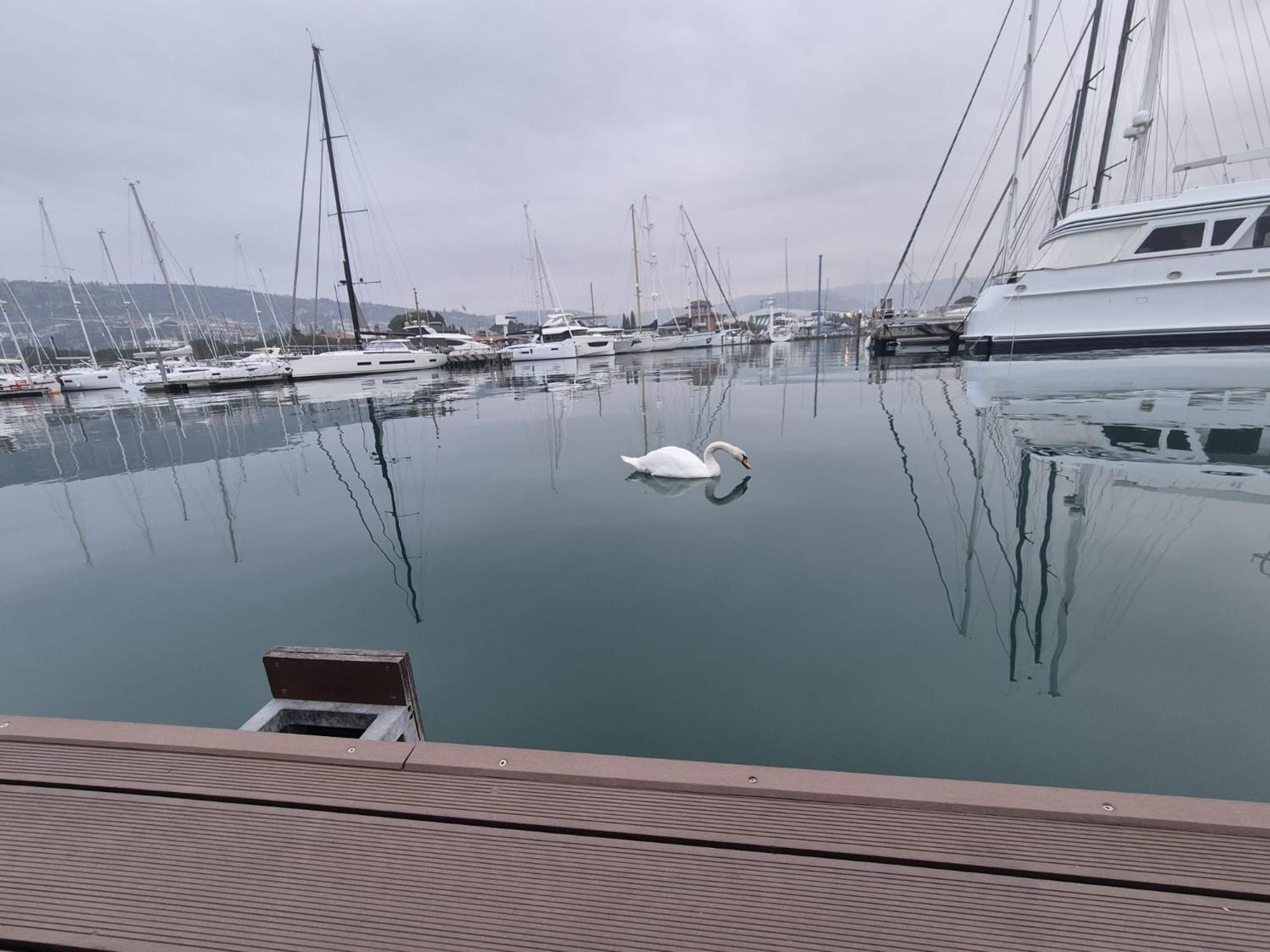 Villa Floating Sea House Aurora Portoroz Exterior foto