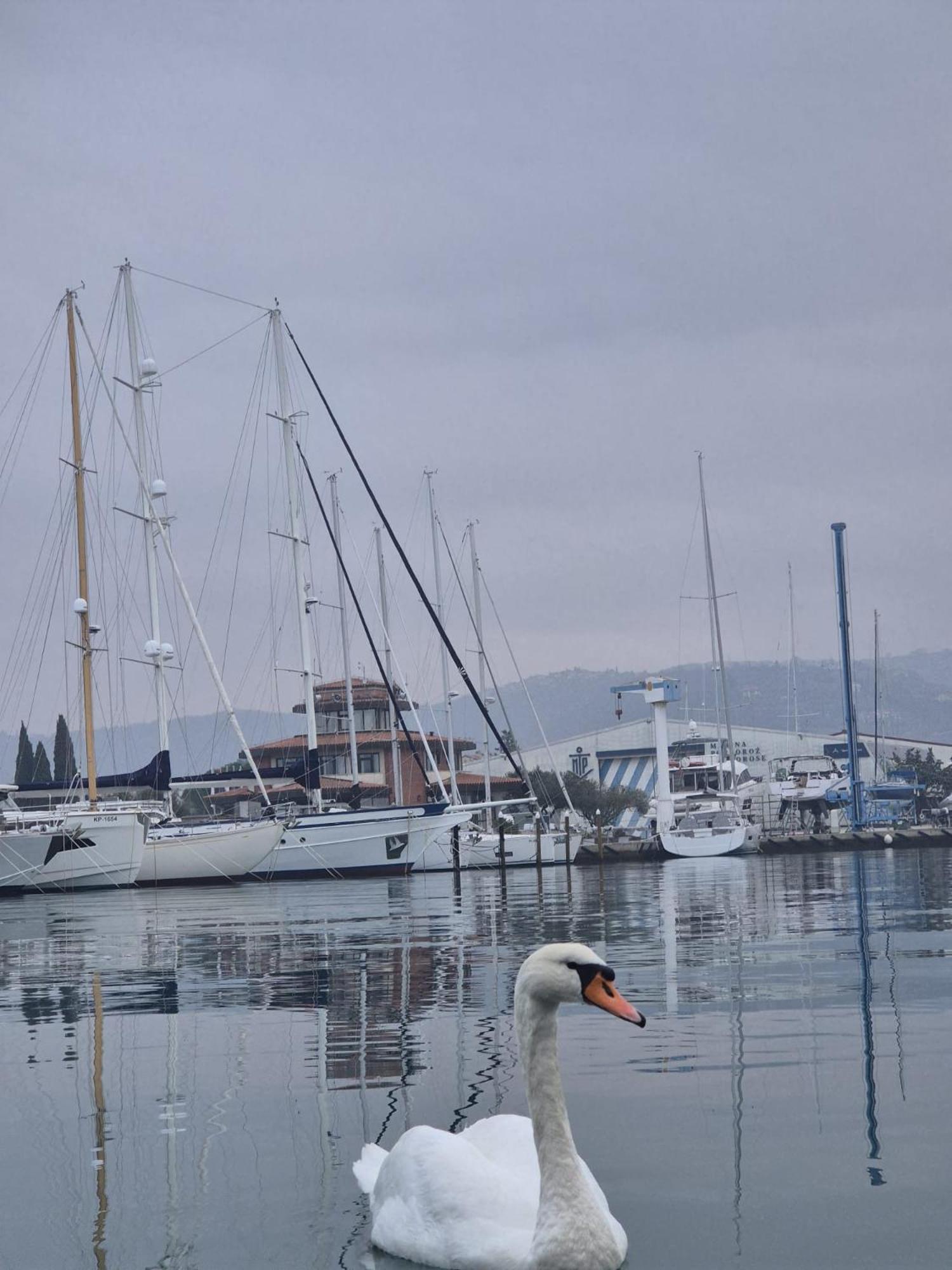 Villa Floating Sea House Aurora Portoroz Exterior foto