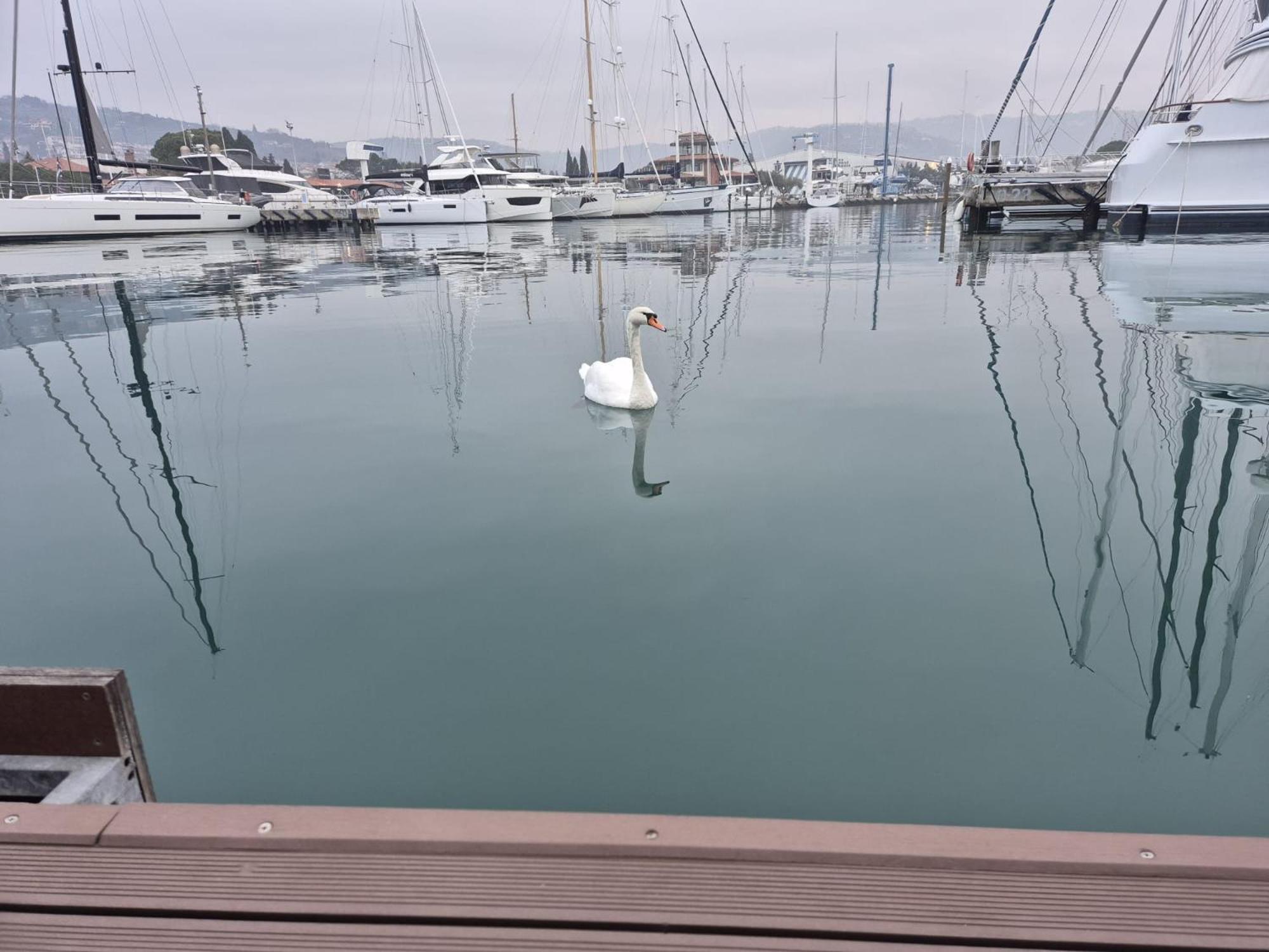 Villa Floating Sea House Aurora Portoroz Exterior foto